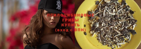 таблы Белокуриха