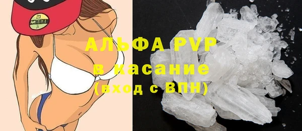 молекула духа Белоозёрский