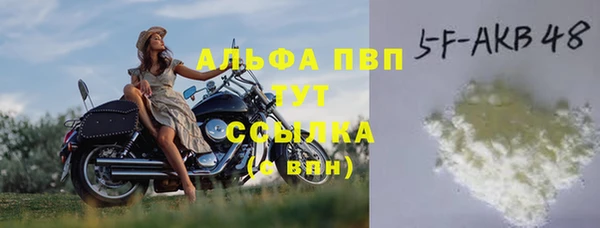 молекула духа Белоозёрский