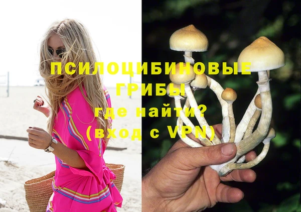 таблы Белокуриха