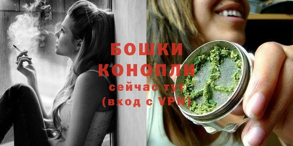 молекула духа Белоозёрский
