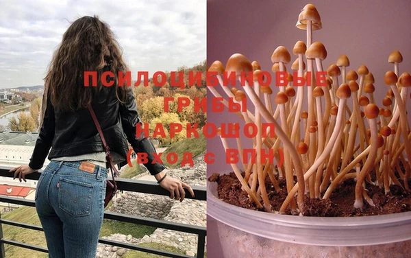 молекула духа Белоозёрский